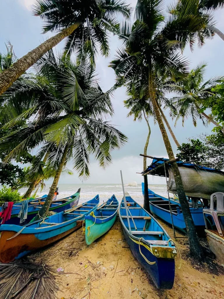 Tropical palm trees shelter vibrant boats on a sandy beachfront under a bright sky during 7 day Sri Lanka itinerary tour